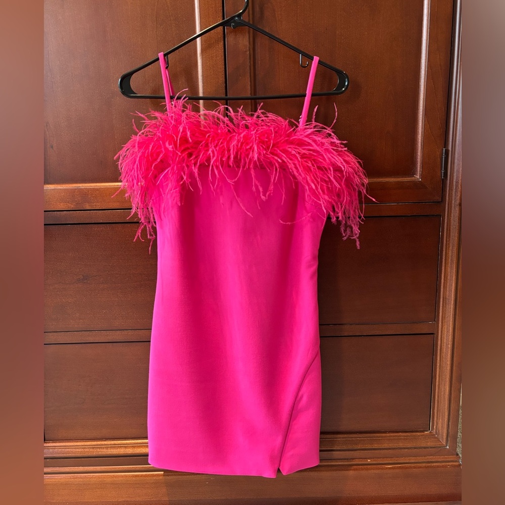 Formal Cocktail Feather Hot Pink Dress Revolve